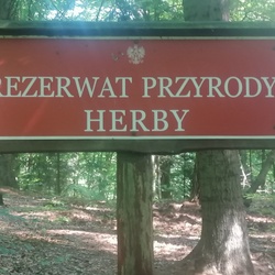 2021-06-20 Rezerwat Herby - Stępina schron