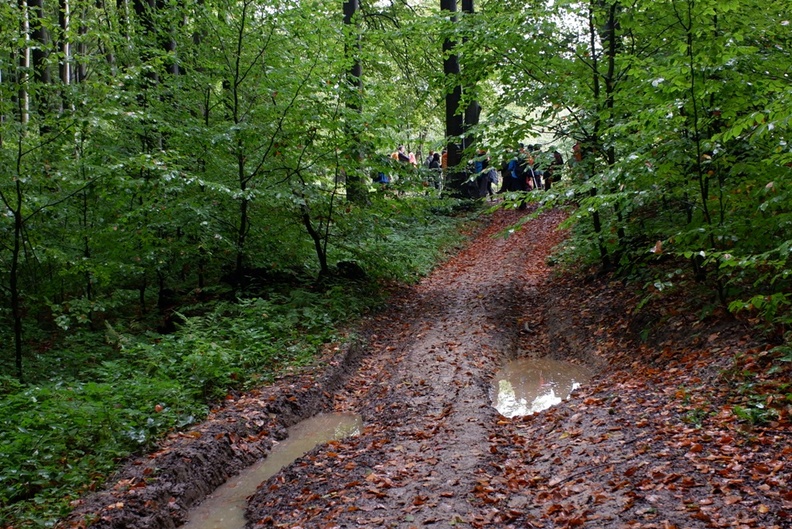 DSCF6471.JPG