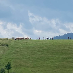 WYCIECZKI