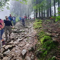 IMG-20230805-WA0002