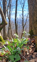 IMG-20240407-WA0004