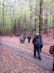 IMG-20240425-WA0025