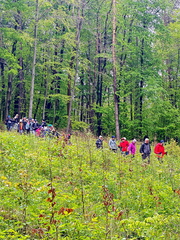 IMG-20240425-WA0029
