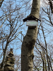 IMG-20240427-WA0016