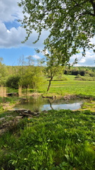 IMG-20240427-WA0019