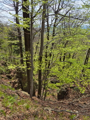 IMG-20240427-WA0023