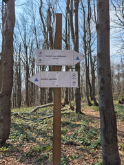IMG-20240427-WA0028