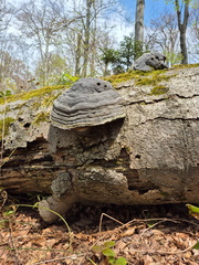 IMG-20240427-WA0037