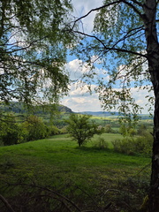 IMG-20240427-WA0038