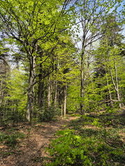 IMG-20240427-WA0039
