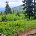 IMG-20240518-WA0006
