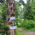 IMG-20240518-WA0008