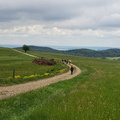 IMG-20240518-WA0011