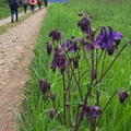 IMG-20240518-WA0010