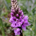 IMG-20240518-WA0014