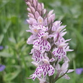IMG-20240518-WA0015