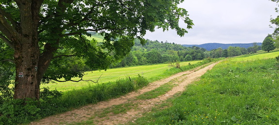 IMG-20240518-WA0017