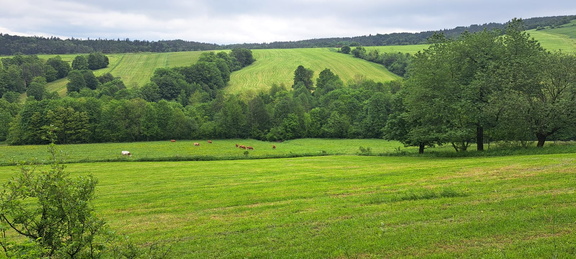 IMG-20240518-WA0016