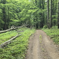IMG-20240518-WA0024
