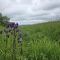 IMG-20240518-WA0025