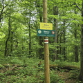 IMG-20240518-WA0035