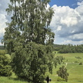 IMG-20240519-WA0057