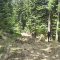 IMG-20240519-WA0065