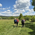 IMG-20240519-WA0067