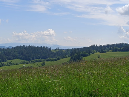 IMG-20240601-WA0008