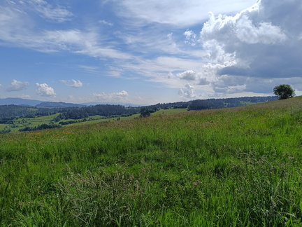 IMG-20240601-WA0009