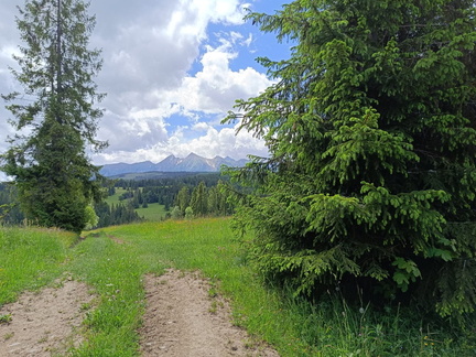 IMG-20240601-WA0069