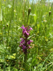 IMG-20240601-WA0070