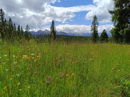 IMG-20240601-WA0071