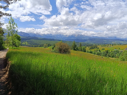 IMG-20240601-WA0073