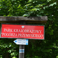 2024-06-02 Kalwaria Pacławska - Przemyśl - Danuta Betleja