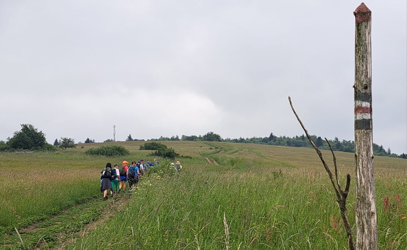 IMG-20240608-WA0002.jpg
