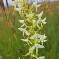 IMG-20240608-WA0008