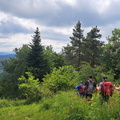 IMG-20240608-WA0012