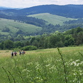 IMG-20240608-WA0014