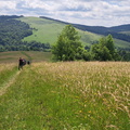IMG-20240608-WA0015