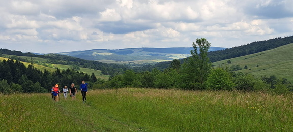 IMG-20240608-WA0016
