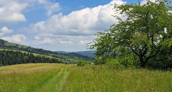 IMG-20240608-WA0019