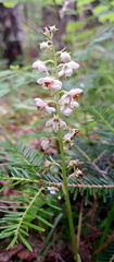 IMG-20240608-WA0023