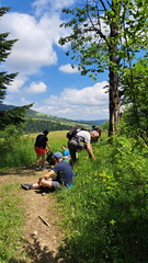 IMG-20240608-WA0024