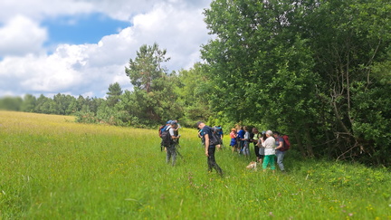 IMG-20240608-WA0026