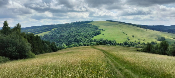 IMG-20240608-WA0029