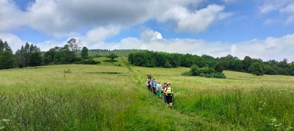 IMG-20240608-WA0028
