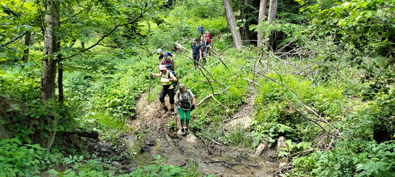 IMG-20240608-WA0034