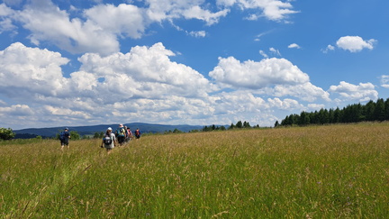 IMG-20240608-WA0047