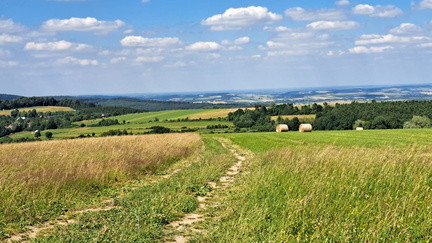 IMG-20240623-WA0015